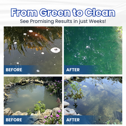 Water Clarifier | Turn Cloudy Aquarium Water Crystal Clear Overnight