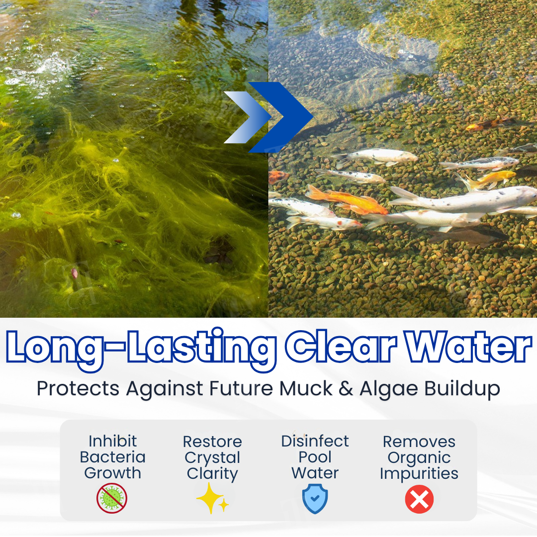 Water Clarifier | Turn Cloudy Aquarium Water Crystal Clear Overnight