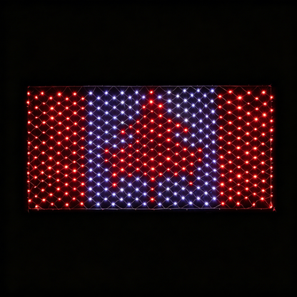 Custom Solar-Powered National Flag Net Lights - Commemorative and Fun Outdoor Decorations
