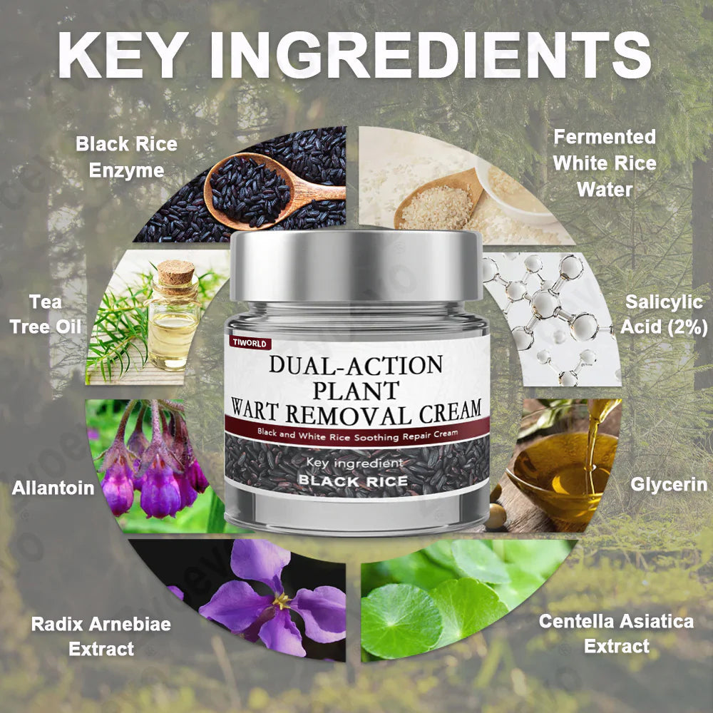 🌎Ends Today: 70% OFF!⏰ Tiworld Black Rice Soothing Repair Cream